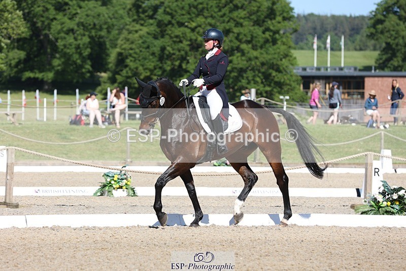 230526-094045-05130 - 357-VIVENDI_HERO-Saffron_Cresswell-WEDTrotUp+DR