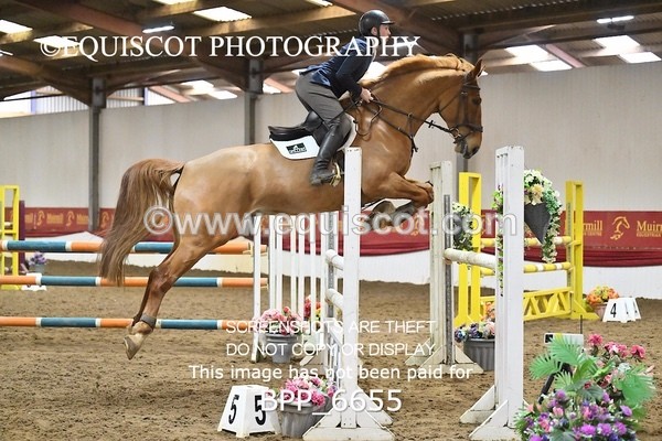 BPP_6655 - CLASS 9 1.15m Open