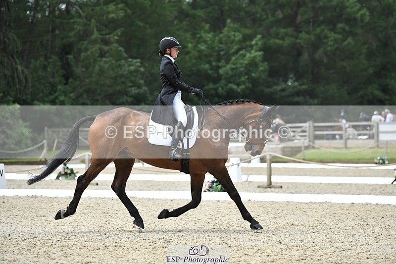 230525-114522-01896 - 103-CLOUDED_LEOPARD-Jessica_Coombes-WEDTrotUp+DR