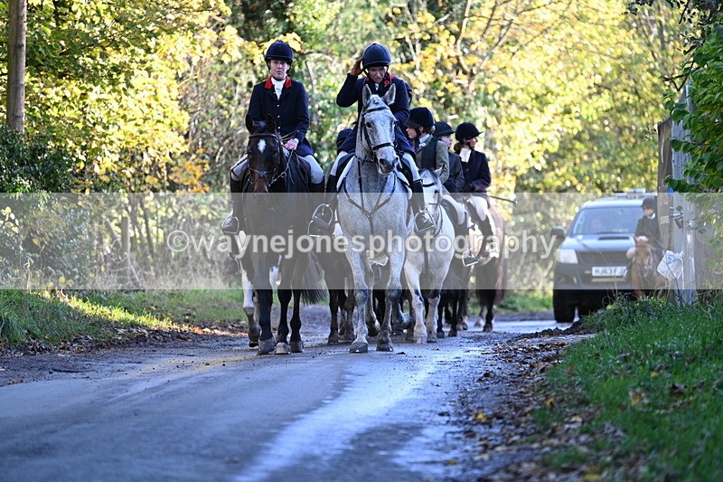 WJ7_8682 - Walk Home