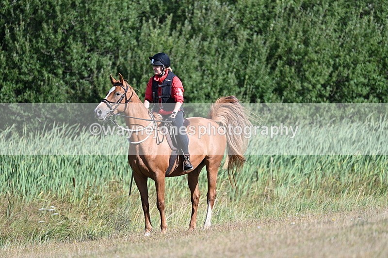 WJ7_3163 - Time 09:42 to 10:02