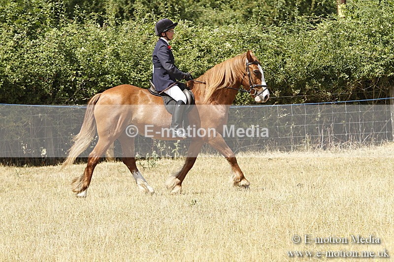 _BS_0717 - BVRC Show 2018 Ring 1