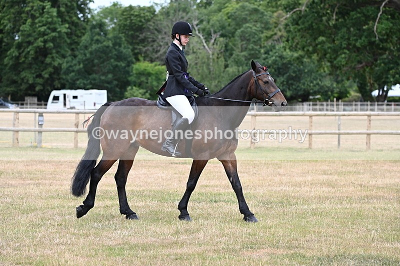 WJ6_4105 - Class 9 Tack & Turnout