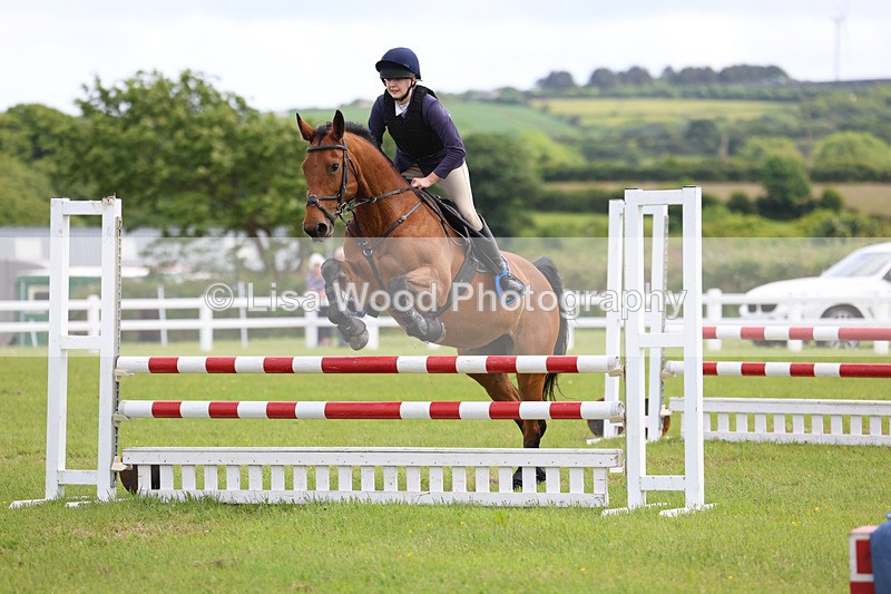 3E7A7617 - Class 13: Senior British Novice/90cm open
