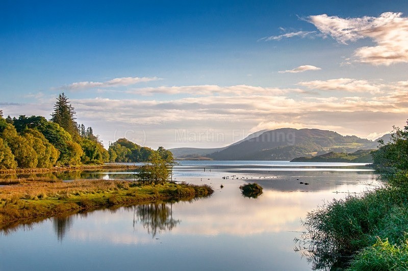 DSC_3802-Edit - Mulroy / Fanad / Ramelton