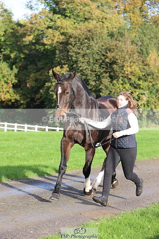 251026A-095432-22572 - D-350-Katie.Timberlake