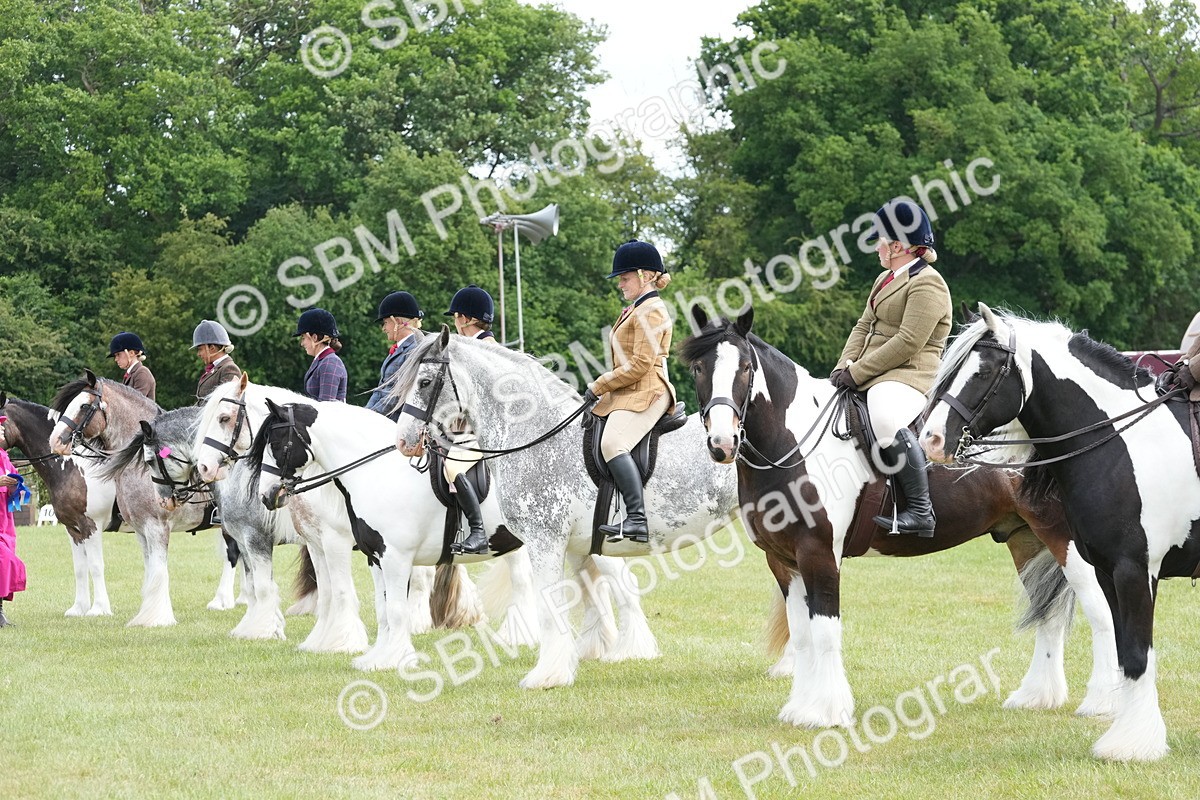 SBM_17321 - Class 107-108 - LIHS BSPS Performance Coloured Horse Pony