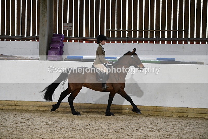 WJ5_7250 - Class 11 Ridden PC - RC Pony