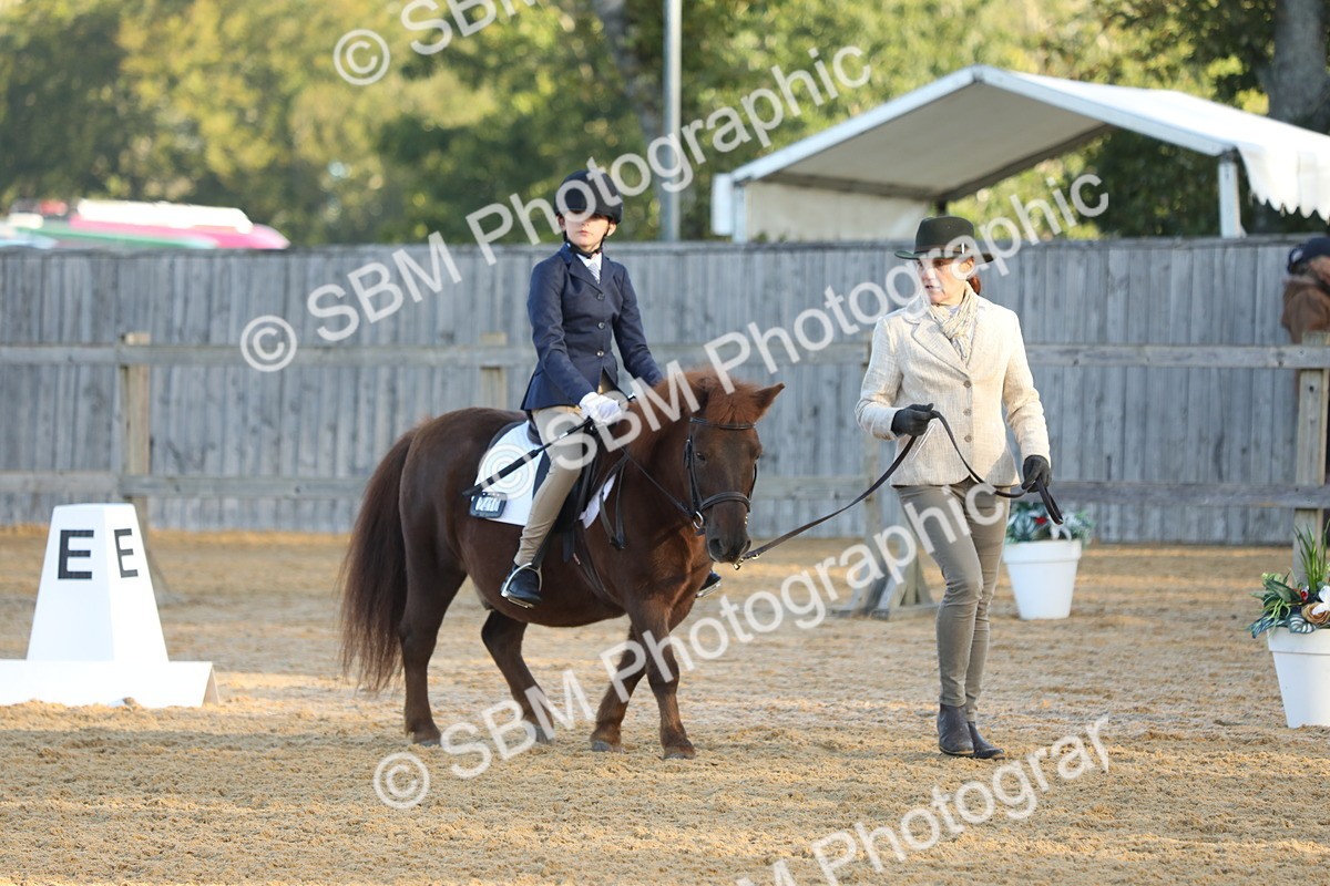 SBM_33613 - D26 - Starers - Lead Rein