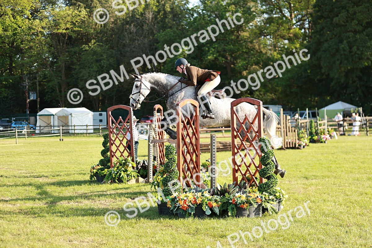 SBM_20338 - Class 117-119 - Sport Horse Working Hunter