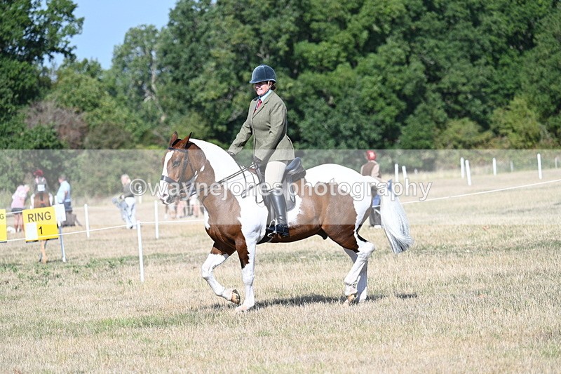 WJ7_2852 - Class 8 Ridden Tack & Turnout