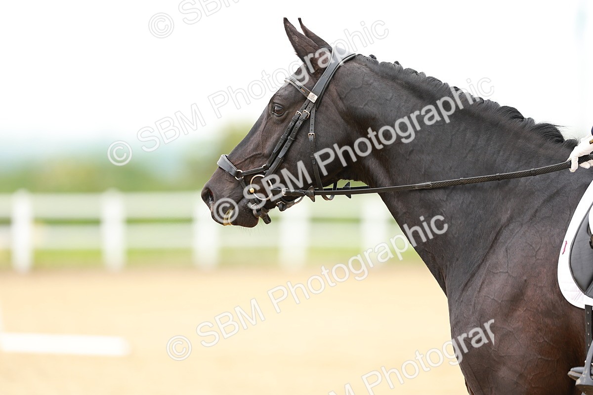SBM_004741 - Class 15 - Novice 5