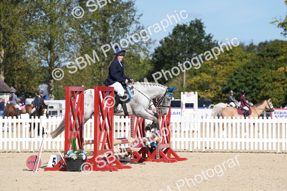 SBM_38856 - J21 - Junior Horse 60cm Championship