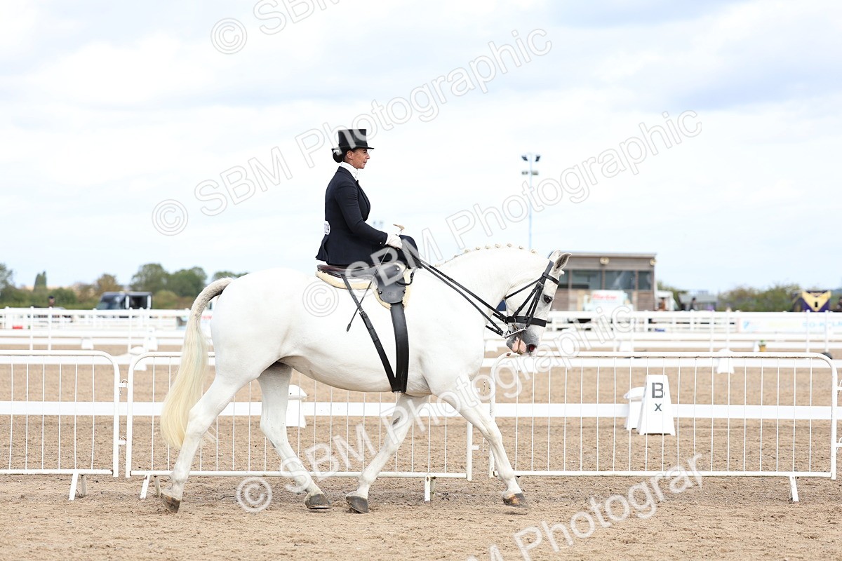 SBM_03190 - Class 22 - SSA Equitation (any age)