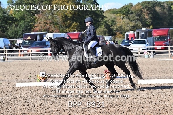 BPP_8921 - LONG ARENA NOVICE 6