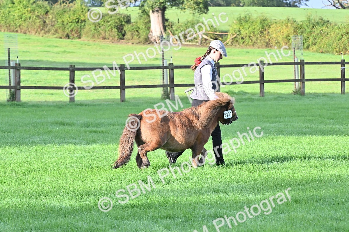 SBM_32574 - S15 - Top Turnout In Hand