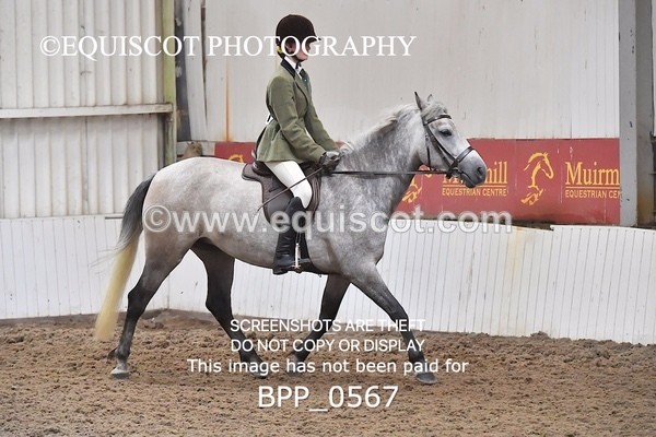 BPP_0567 - RING 2