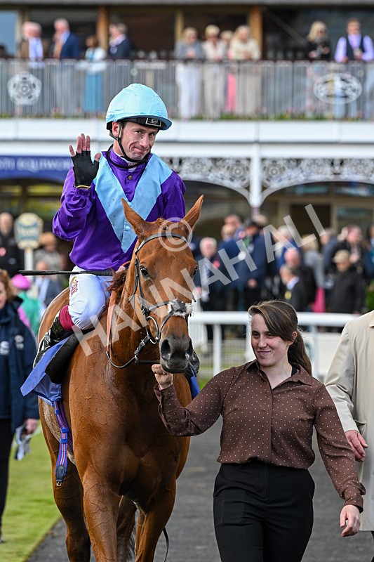 140526-Race 4-See The Fire-5282 - Race 4 3.30pm Al Basti Equiworld Dubai Middleton Fillies' Stakes