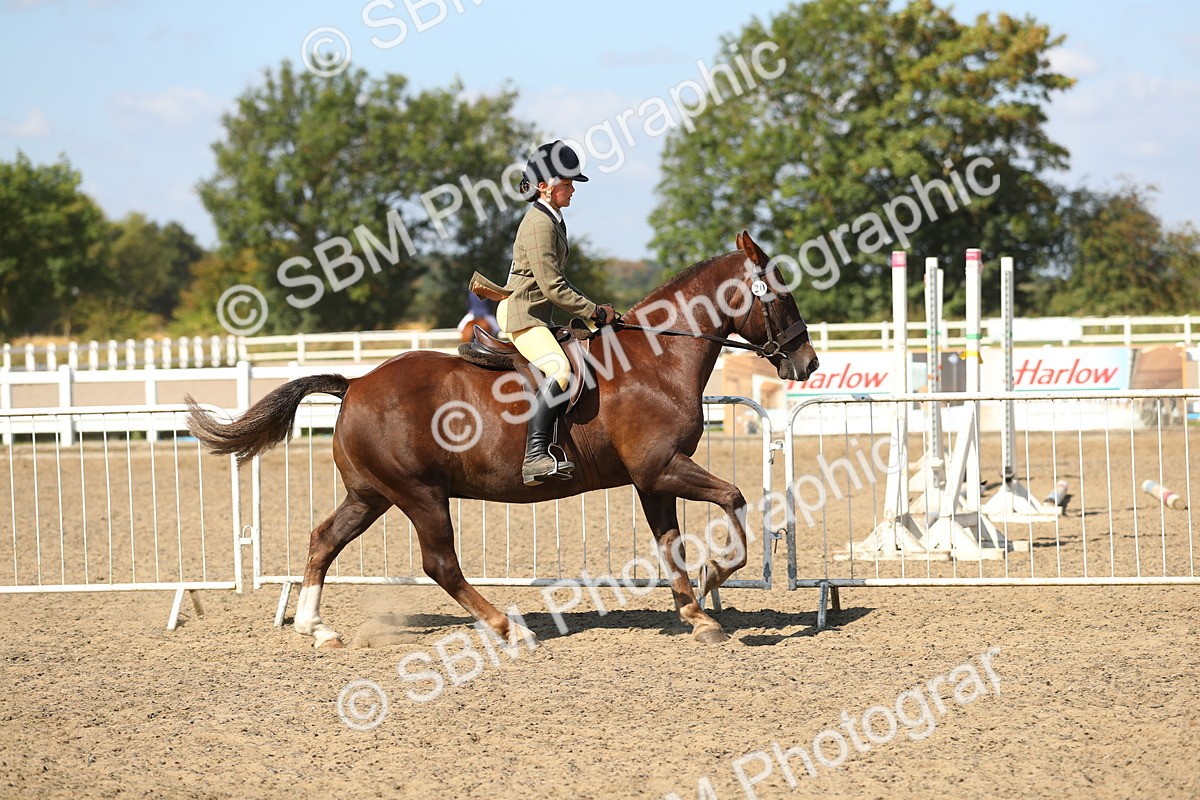 SBM_03135 - Class 44 Riding Club Horse/ Pony