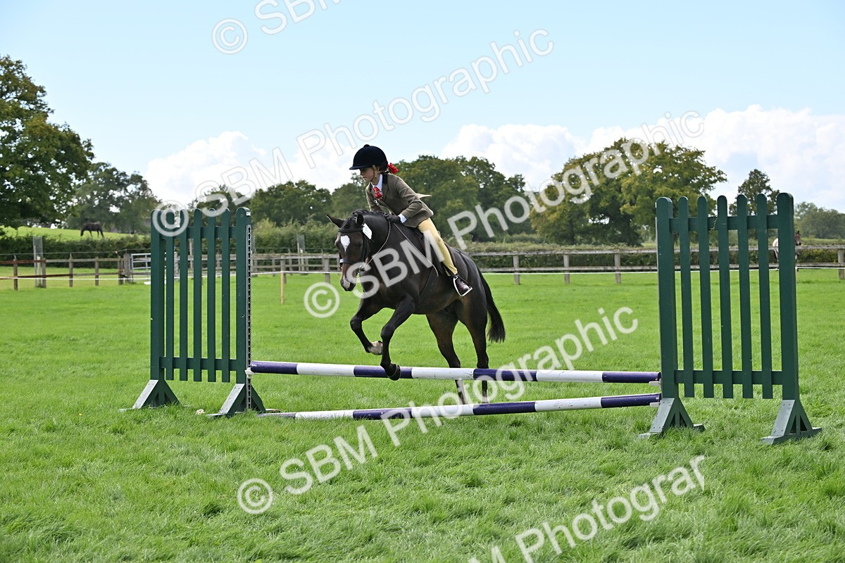 SBM_44487 - S13 - Pony Club Pony