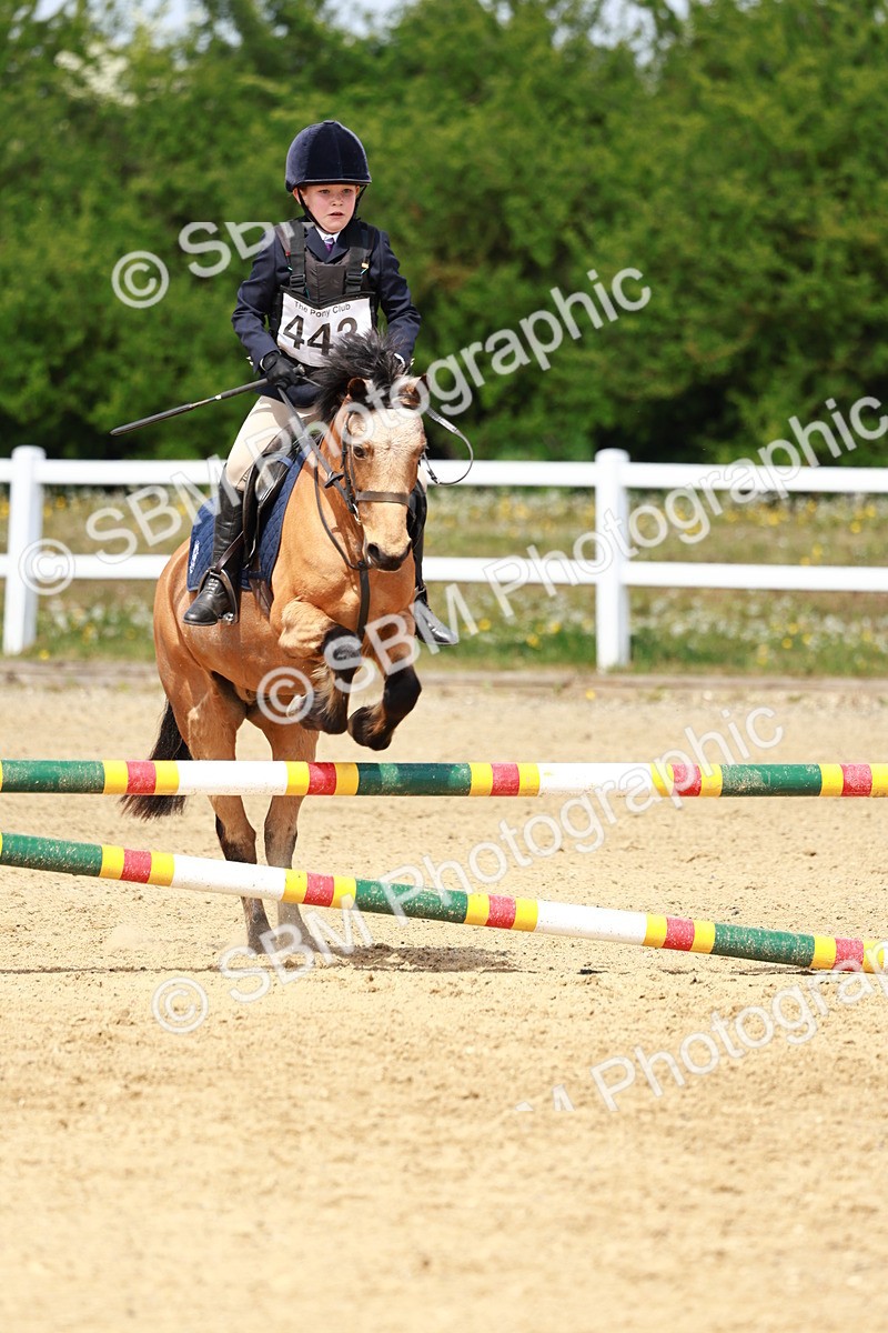 SBM_007863 - Class 3 - 60cm