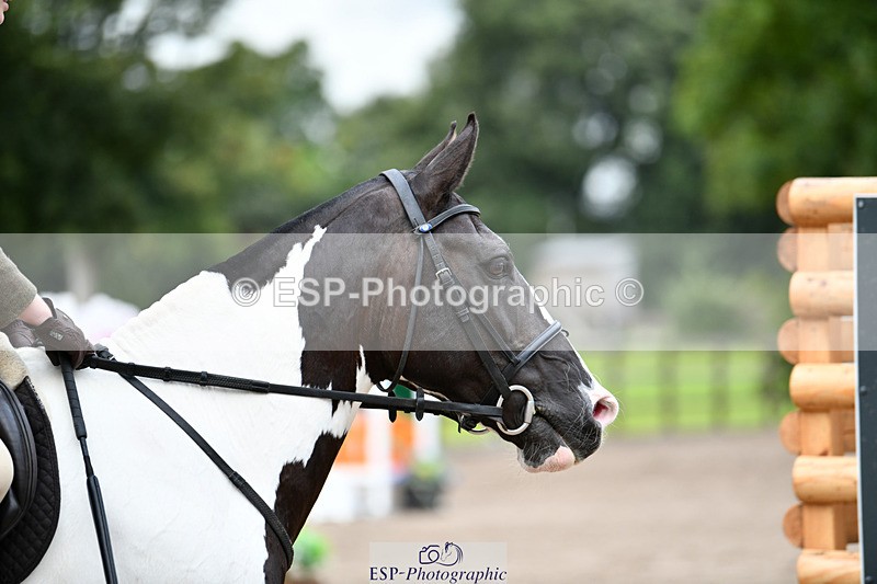 240825X-173947-37097 - 80cm SJ 16.00 to 17.26