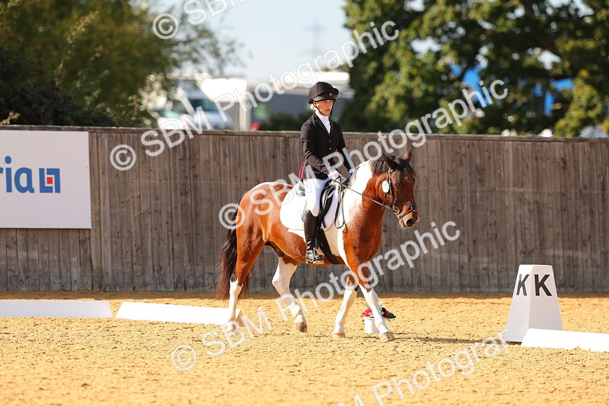 SBM_48437 - D6 - Small Tour Championship - Intro C