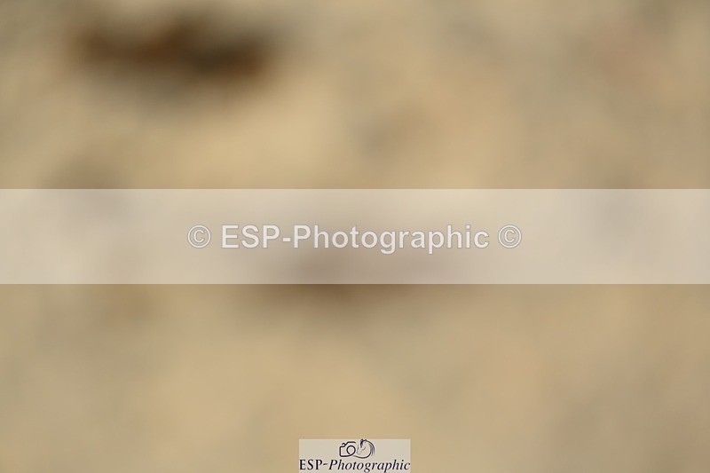 230811-095227-00164 - Cls 3 Adv Medium Bronze Start to 10.25 break