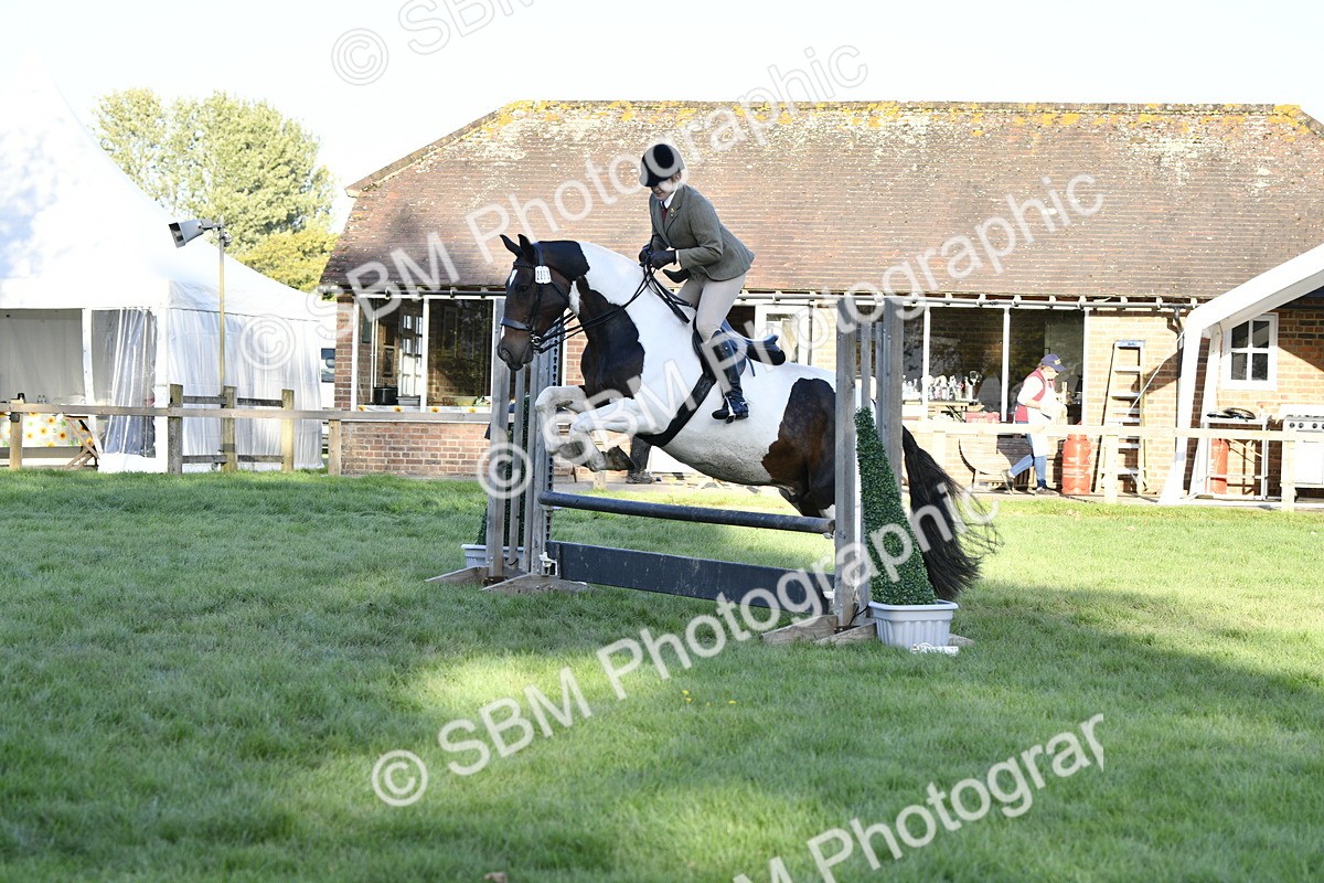 SBM_53559 - S14 - Riding Club Horse