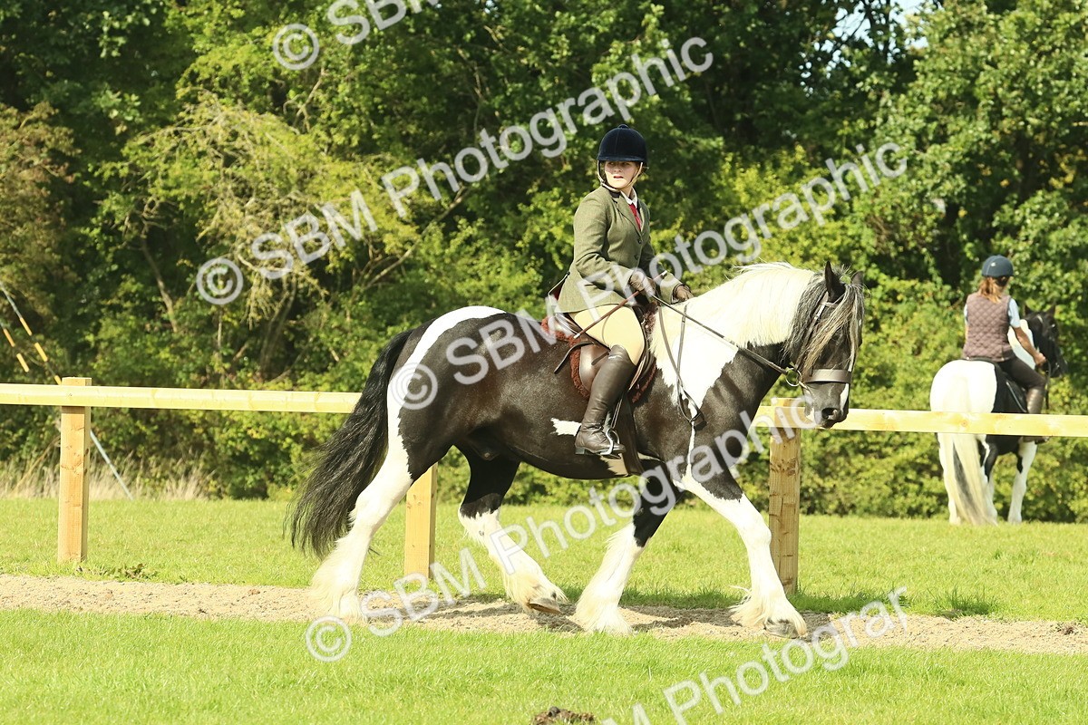 SBM_67470 - S56 - Coloured Pony Ridden