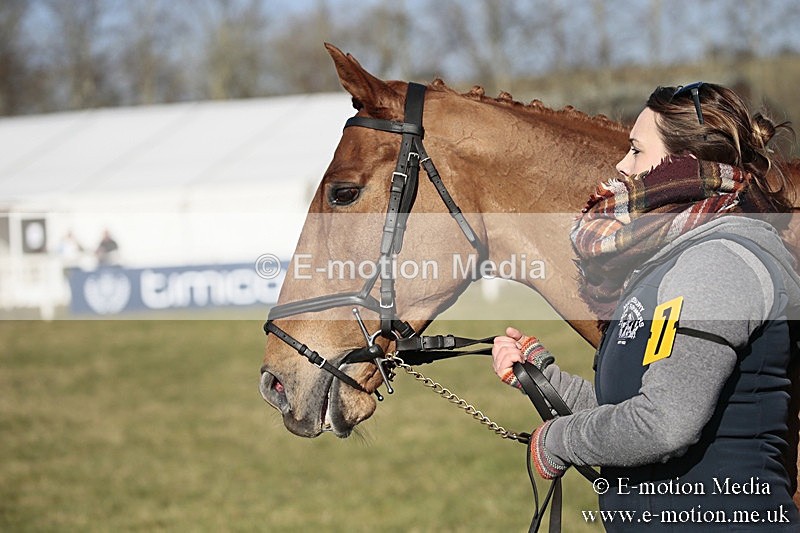 PtP 240218 431 - Vine & Craven Hunt Point-to-Point Barbury racecourse 24/02/18