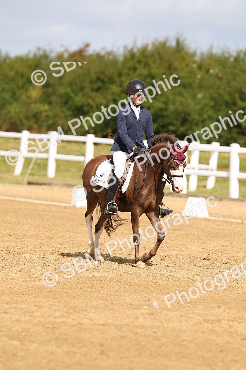 SBM_011516 - Class 1 - Prelim 19 - 10.50-11.46