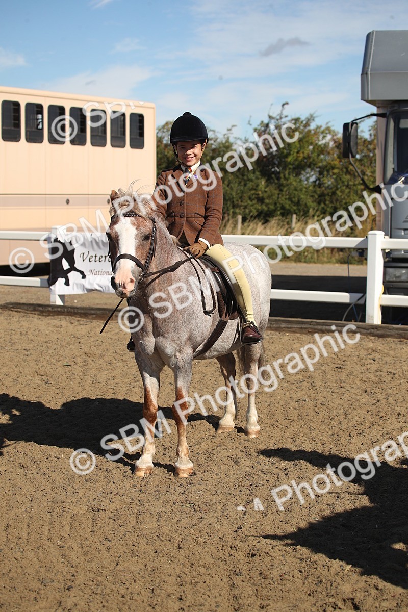 SBM_12773 - Class 504b - Junior Working Veteran - 40cm (20+)