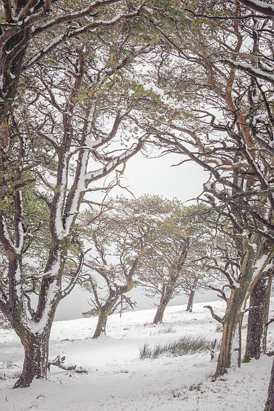 Winter peace - Cumbria