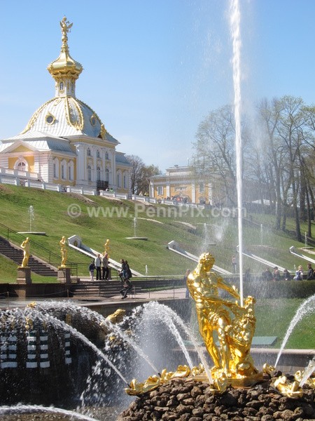  - Recent Images - by Matt Pennington