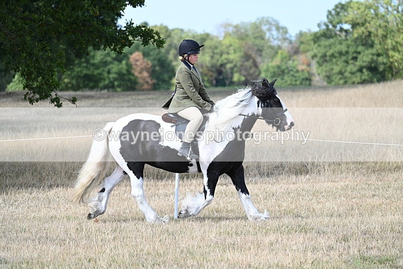 WJ7_7090 - Class 14 Ridden Coloured