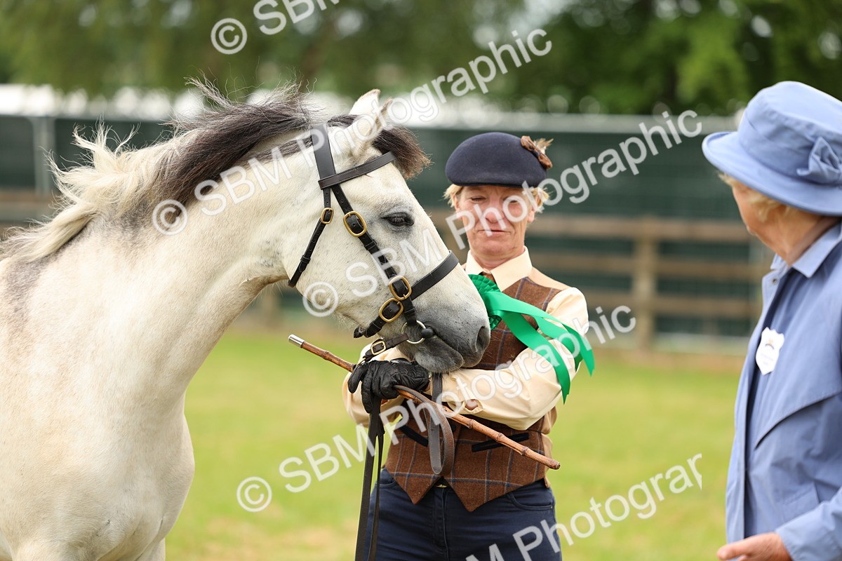 SBM_04099 - Class 64-67 - Shetland Pony In Hand