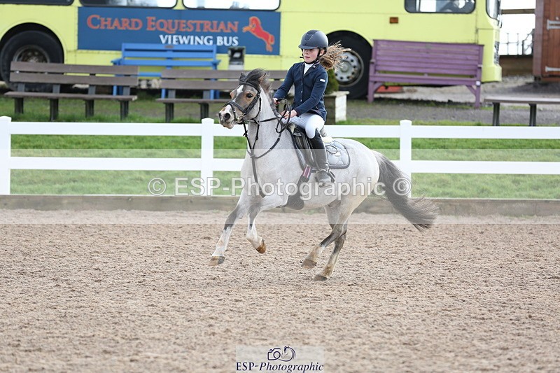 240211A-110504-01845 - Cls 2 Pony British Noivice & 80cm Open