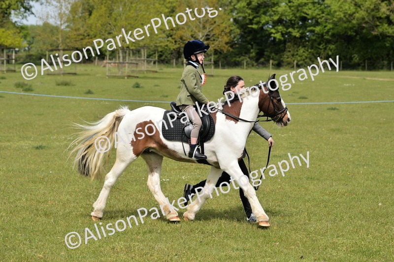 20260426-2357 - Class 20 - Beginner Working Hunter