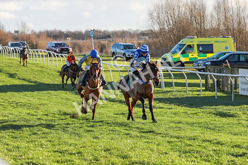 010125-Race 2-Beat The Edge-2291 - Race 2