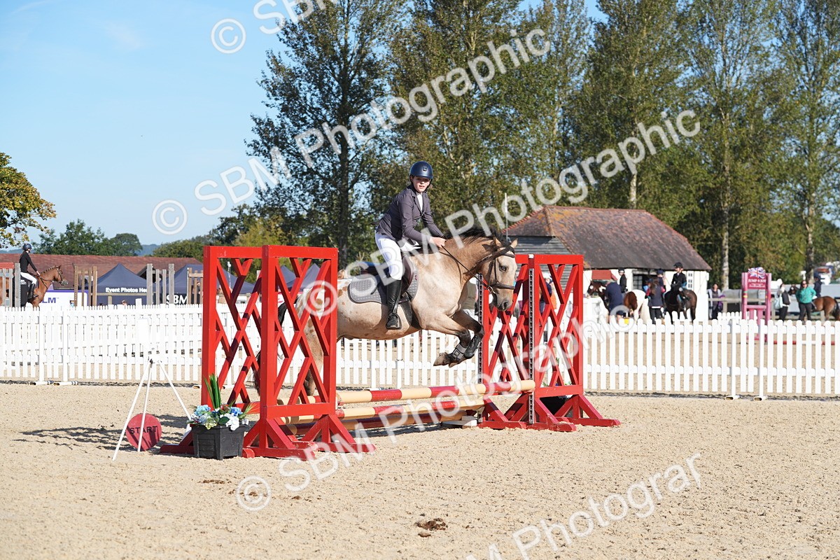 SBM_36102 - J 20 - Junior Horse 50cm Championship