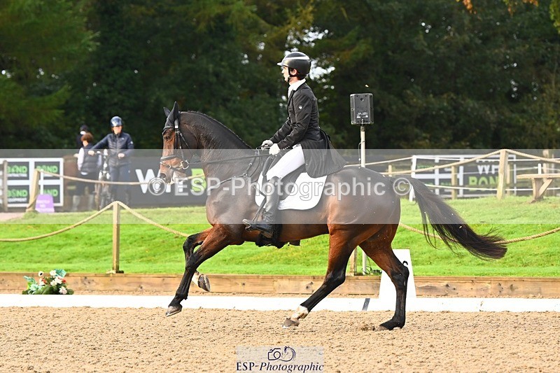 231021-091708-12818 - 324-HAZZLE.DAZZLE-Henry.Hobby-DR