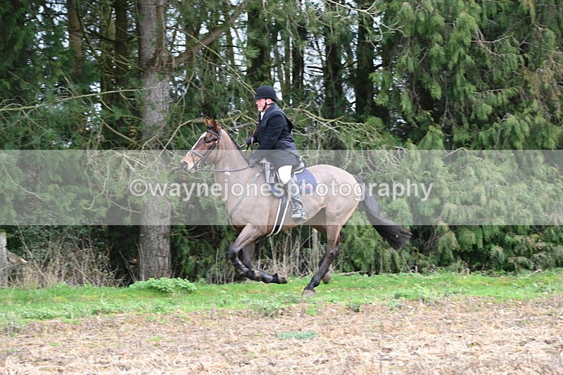 WJ6_9743 - Line Four