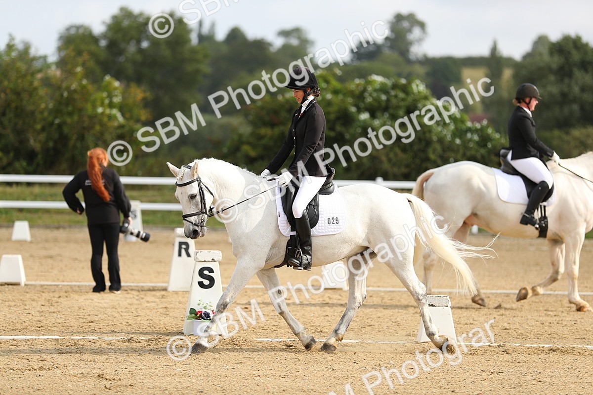 SBM_015505 - Class 13 - Novice 23 - 9.54-11.04