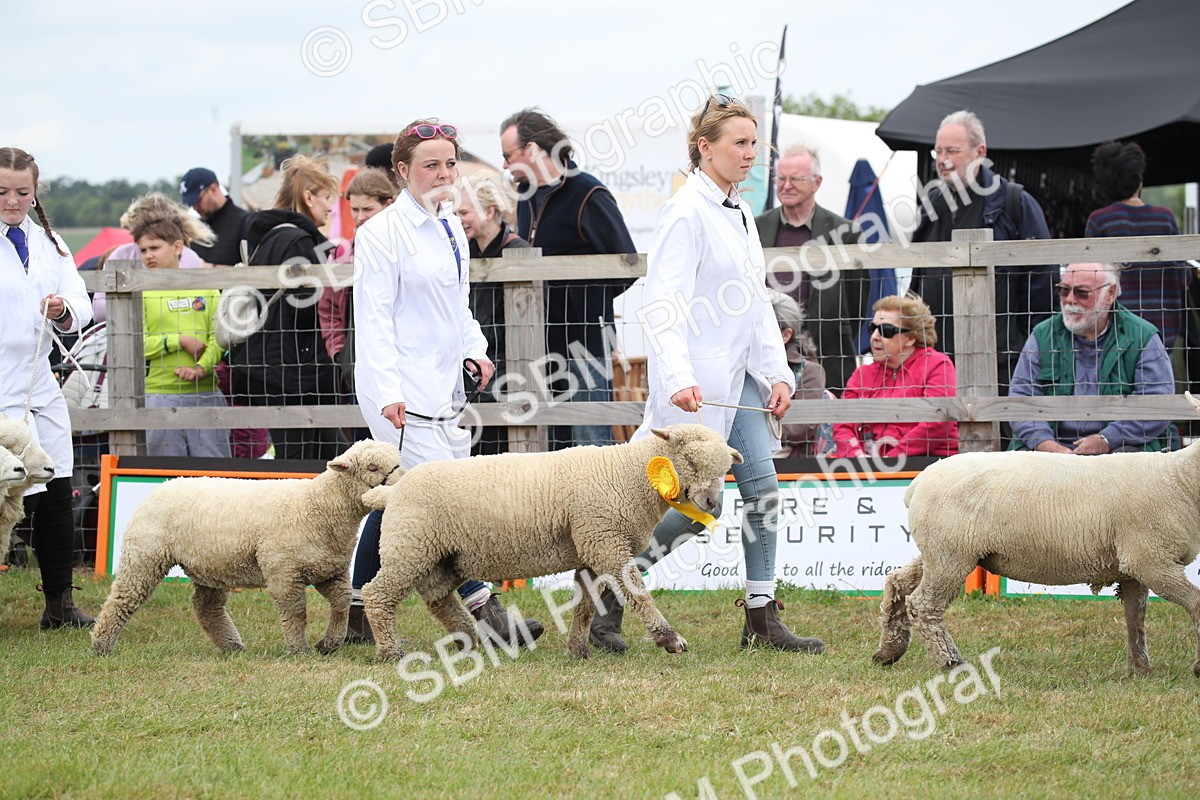 SBM_07802 - Grand Parade