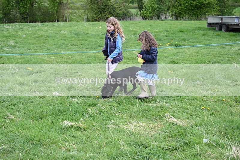 WJ6_8100 - Class 2 Best Pedigree