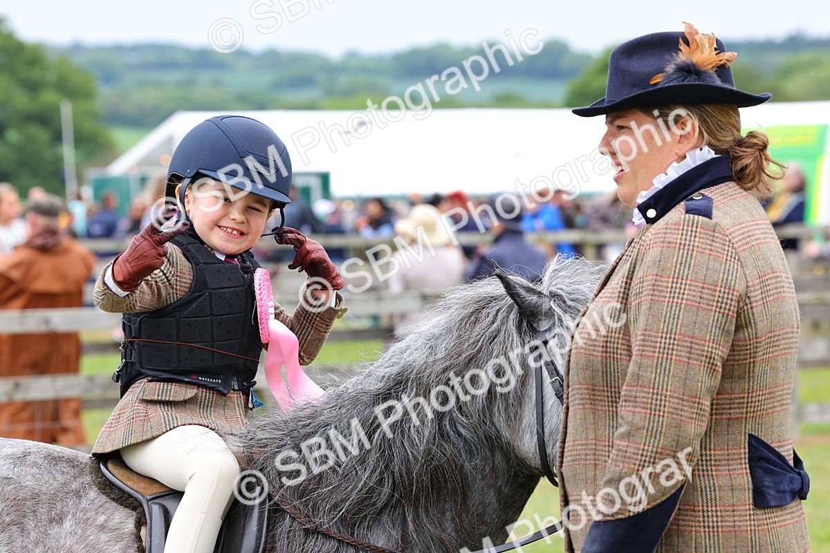 SBM_08393 - Class 42-43 - LIHS BSPS Heritage Working Sports Pony