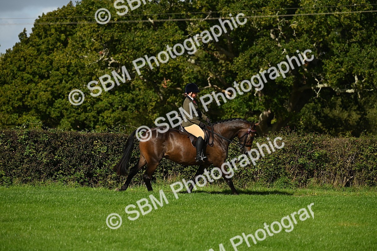 SBM_01447 - S2 - TSR Ridden Horse Showing