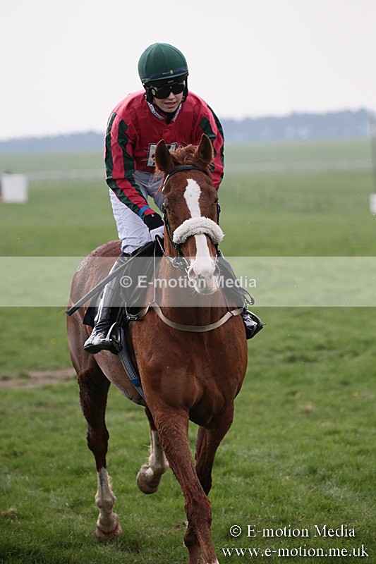 PtP 210418 241 - South & West Wilts Point-to-Point Larkhill 21/04/18