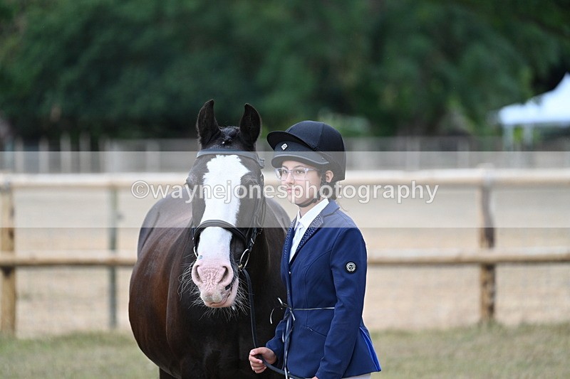 WJ7_9492 - Class 5 Most Handsome Gelding (up to 14.2hh)